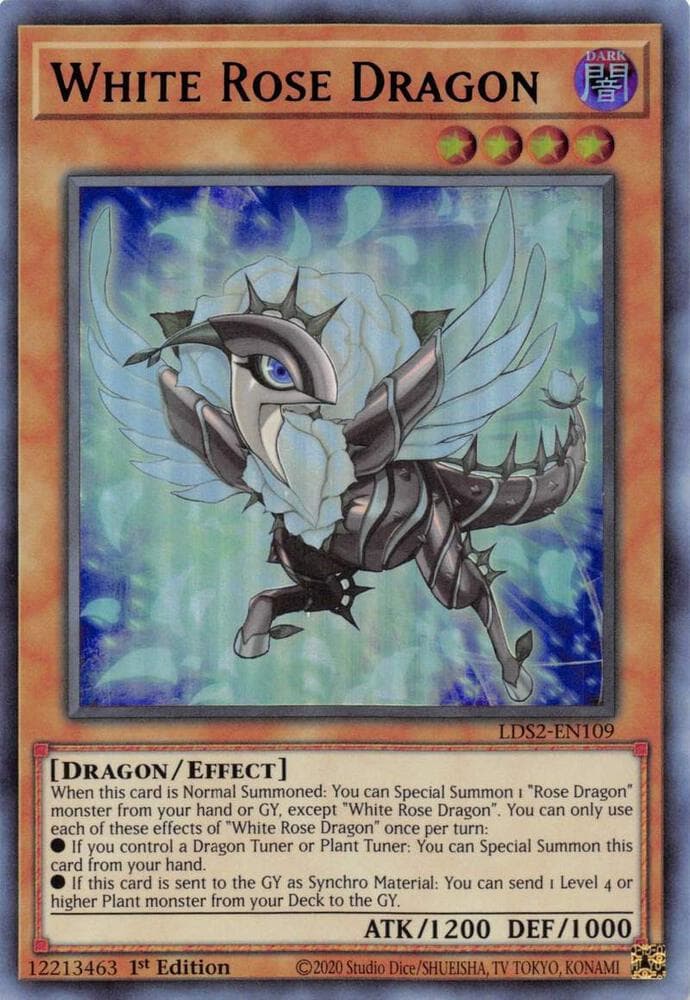 White Rose Dragon (Blue)