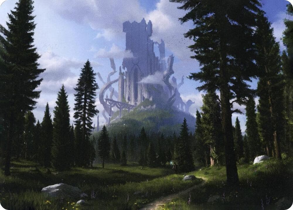 Forest (61/81) Art Card